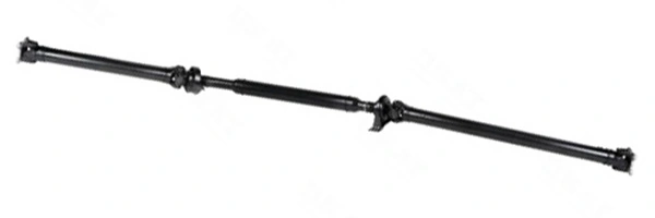LIZARTE PS0014