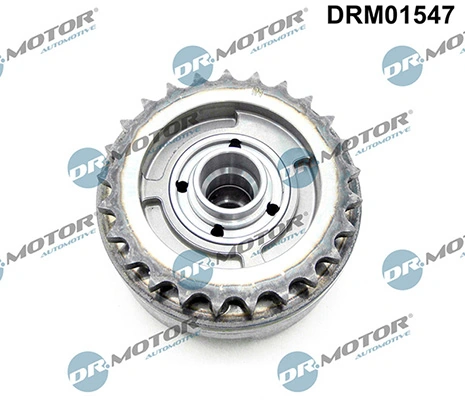 LIZARTE DRM01547