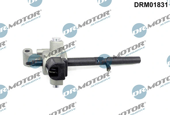 LIZARTE DRM01831