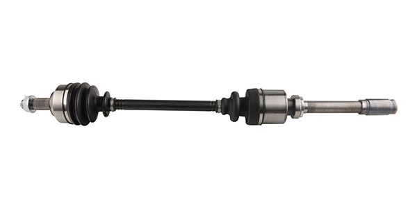 LIZARTE DS0646