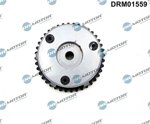 LIZARTE DRM01559
