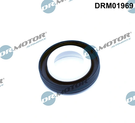 LIZARTE DRM01969
