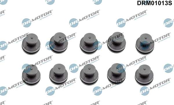 LIZARTE DRM01013S