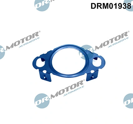 LIZARTE DRM01938