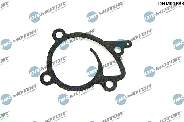 LIZARTE DRM01688