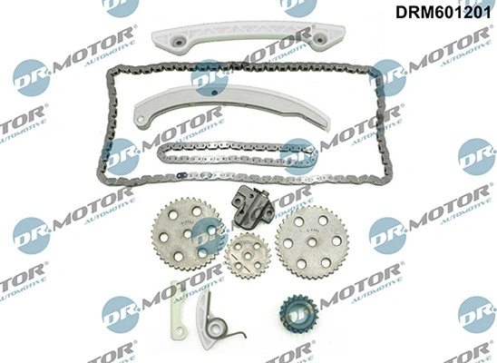 LIZARTE DRM601201