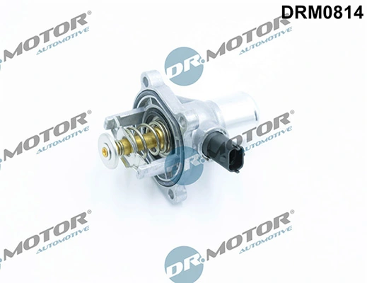 LIZARTE DRM0814