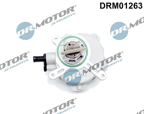 LIZARTE DRM01263