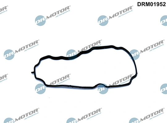 LIZARTE DRM01952