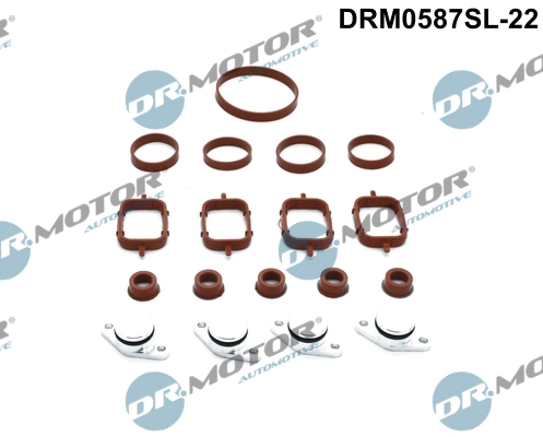 LIZARTE DRM0587SL-22