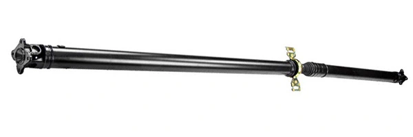 LIZARTE PS0059