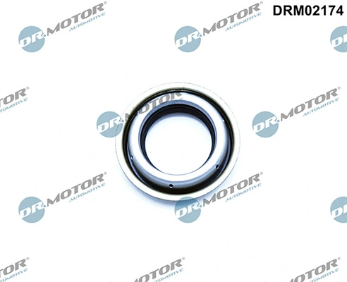 LIZARTE DRM02174