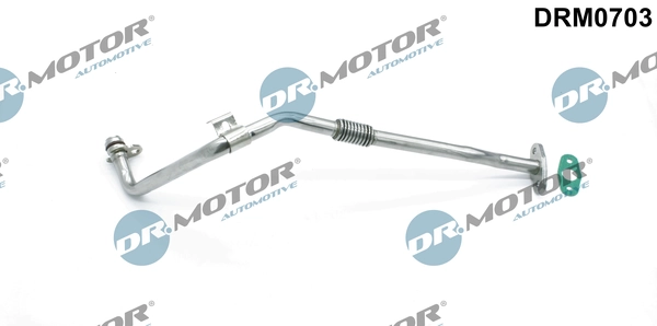 LIZARTE DRM0703