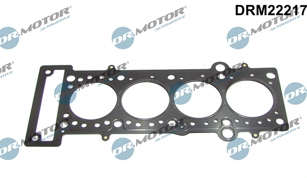 LIZARTE DRM22217