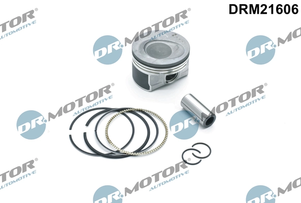 LIZARTE DRM21606