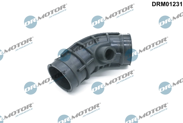 LIZARTE DRM01231