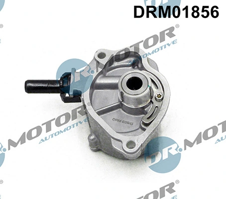 LIZARTE DRM01856