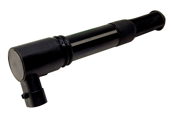 LIZARTE BOBEN013