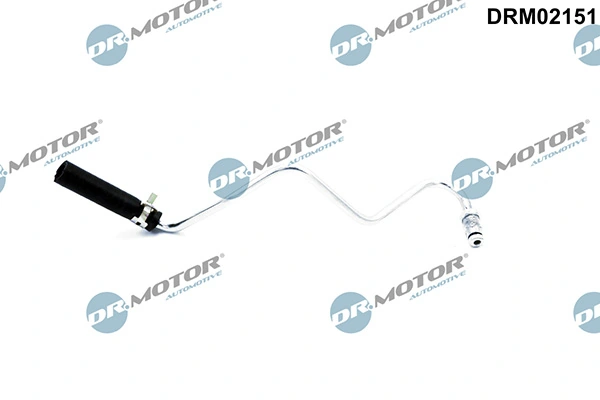 LIZARTE DRM02151
