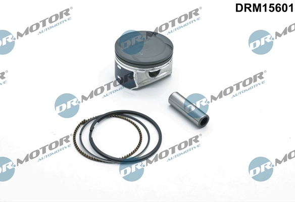 LIZARTE DRM15601