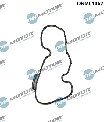 LIZARTE DRM01452
