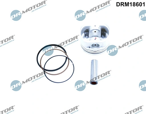 LIZARTE DRM18601