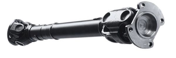 LIZARTE PS0023