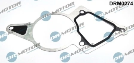 LIZARTE DRM0274