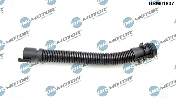 LIZARTE DRM01837