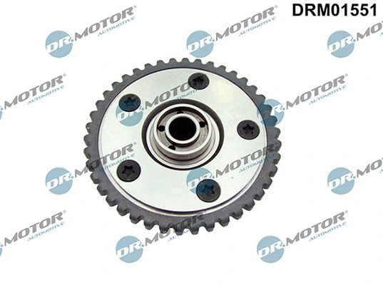 LIZARTE DRM01551