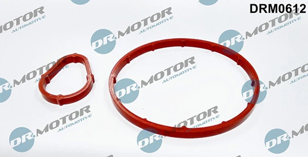 LIZARTE DRM0612