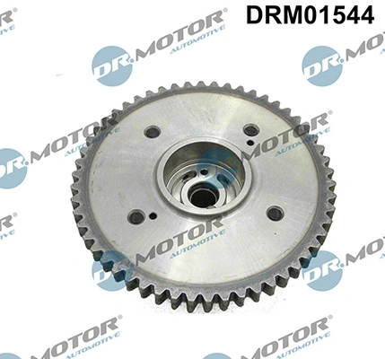 LIZARTE DRM01544