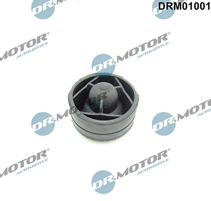 LIZARTE DRM01001