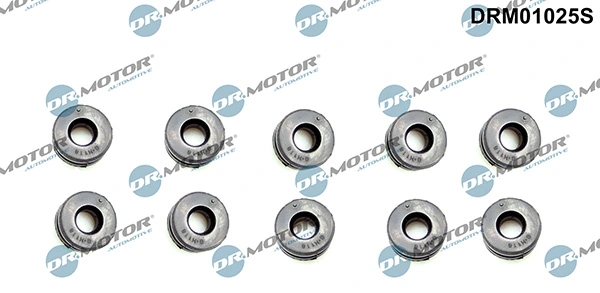 LIZARTE DRM01025S