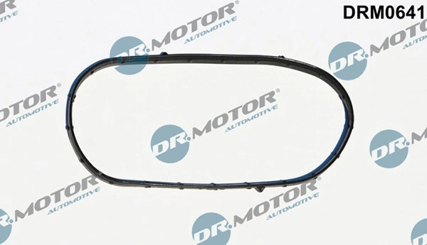 LIZARTE DRM0641