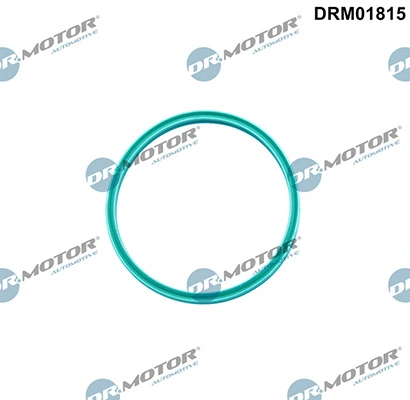 LIZARTE DRM01815