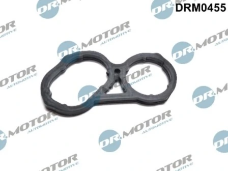 LIZARTE DRM0455