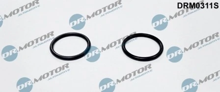 LIZARTE DRM0311S