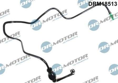 LIZARTE DRM18513