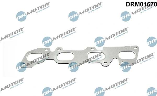 LIZARTE DRM01670