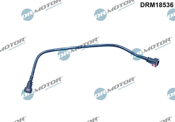 LIZARTE DRM18536