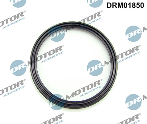 LIZARTE DRM01850