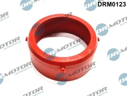 LIZARTE DRM0123
