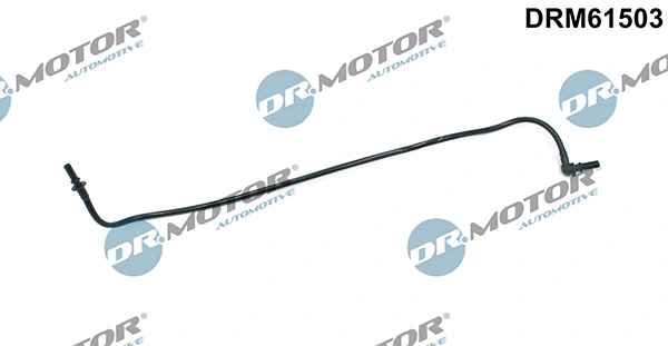 LIZARTE DRM61503