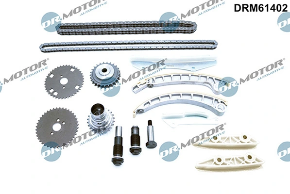 LIZARTE DRM61402