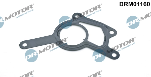 LIZARTE DRM01160