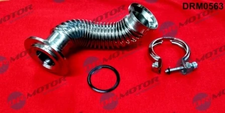 LIZARTE DRM0563