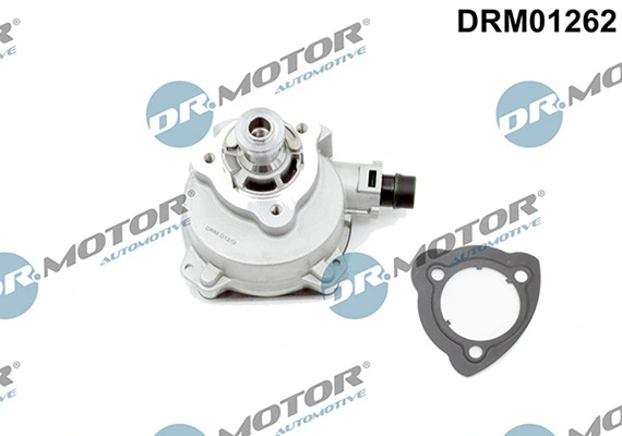 LIZARTE DRM01262