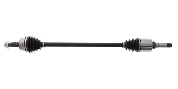LIZARTE DS1247