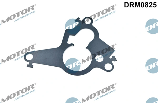 LIZARTE DRM0825